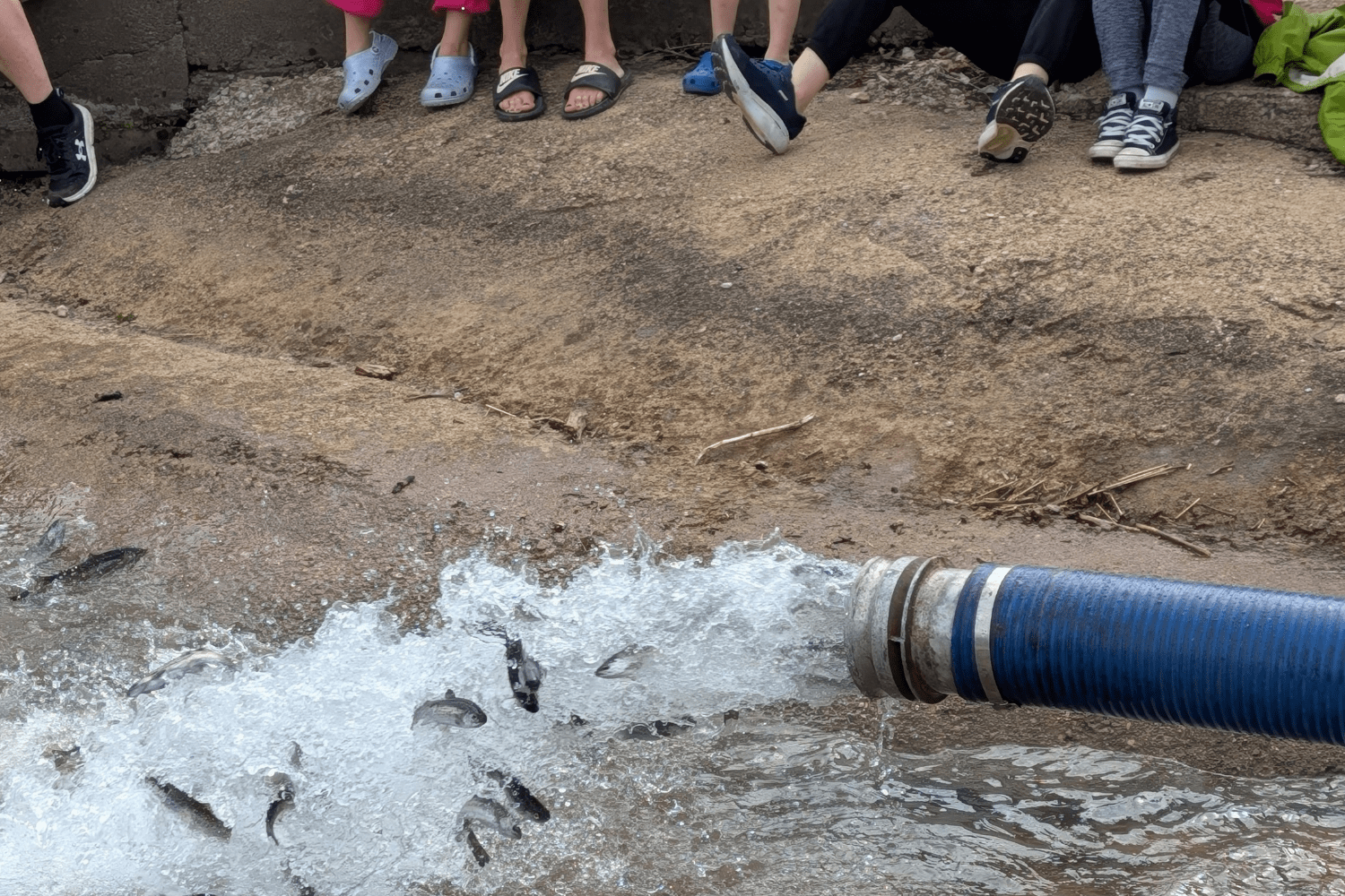 20250425_121253_0000