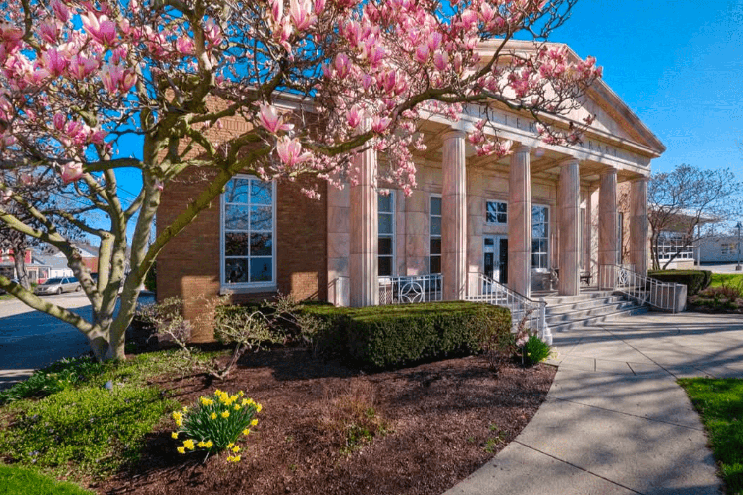 Untitled design_20250406_140230_0000