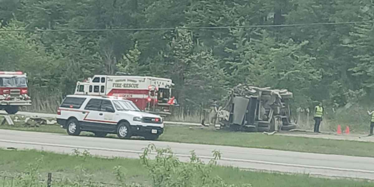 Untitled design - 2025-05-14T123953.473