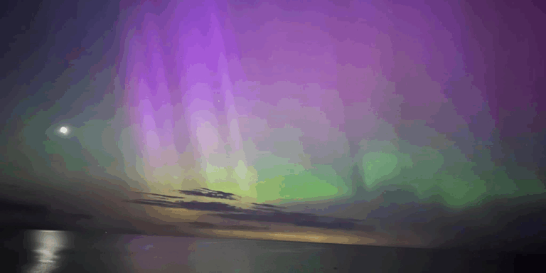 Untitled design - 2025-05-31T171608.060