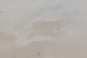 20250630_101932_0000