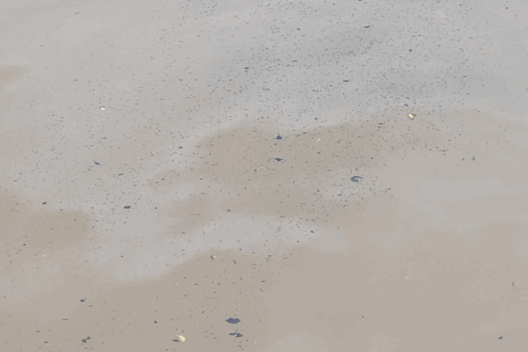 20250630_101932_0000