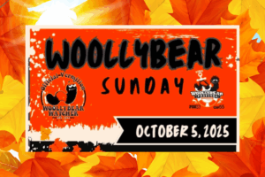 Untitled design_20250925_104742_0000