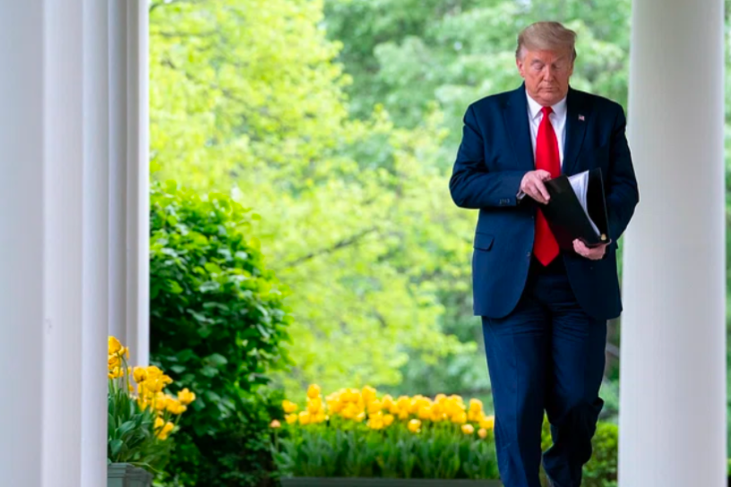 Untitled design_20251031_205729_0000