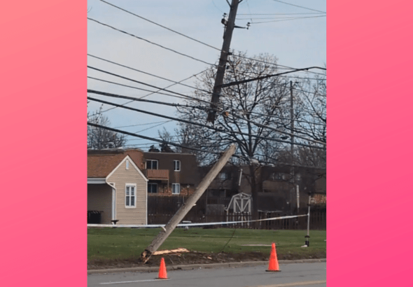 Untitled design_20260317_084919_0000