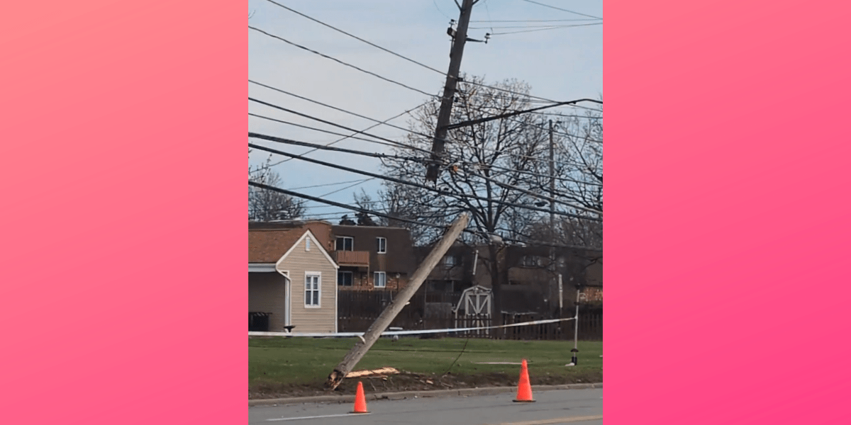 Untitled design_20260317_084919_0000