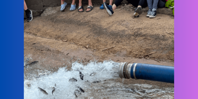Vermilion’s Annual Trout Release Returns