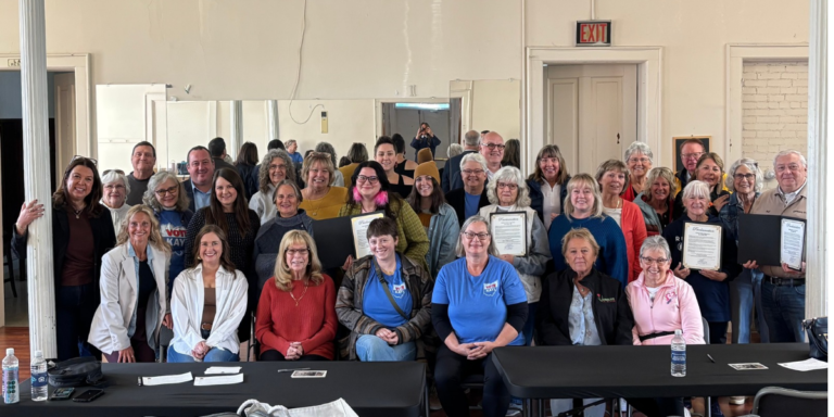 County honors Vermilion volunteer groups