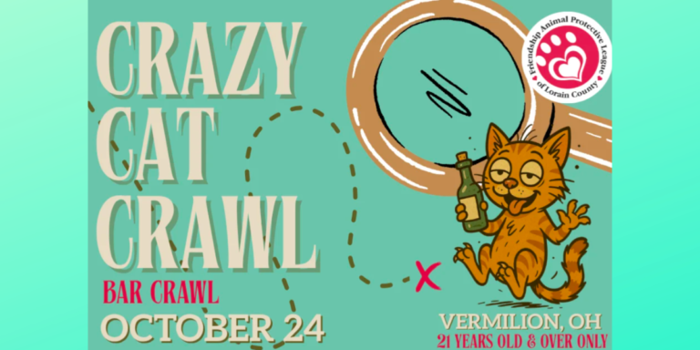 Cat crawl to benefit animal shelter